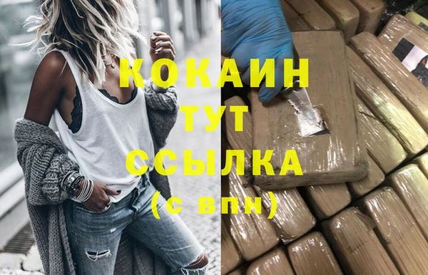 хмурый Абаза