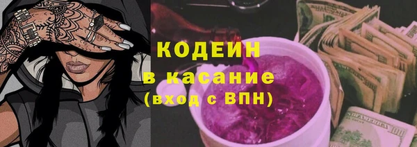 хмурый Абаза