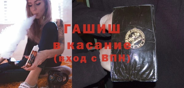 хмурый Абаза
