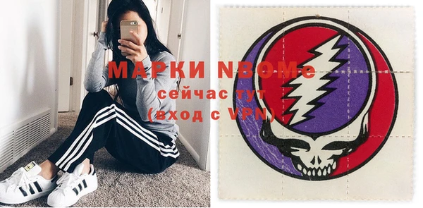 хмурый Абаза